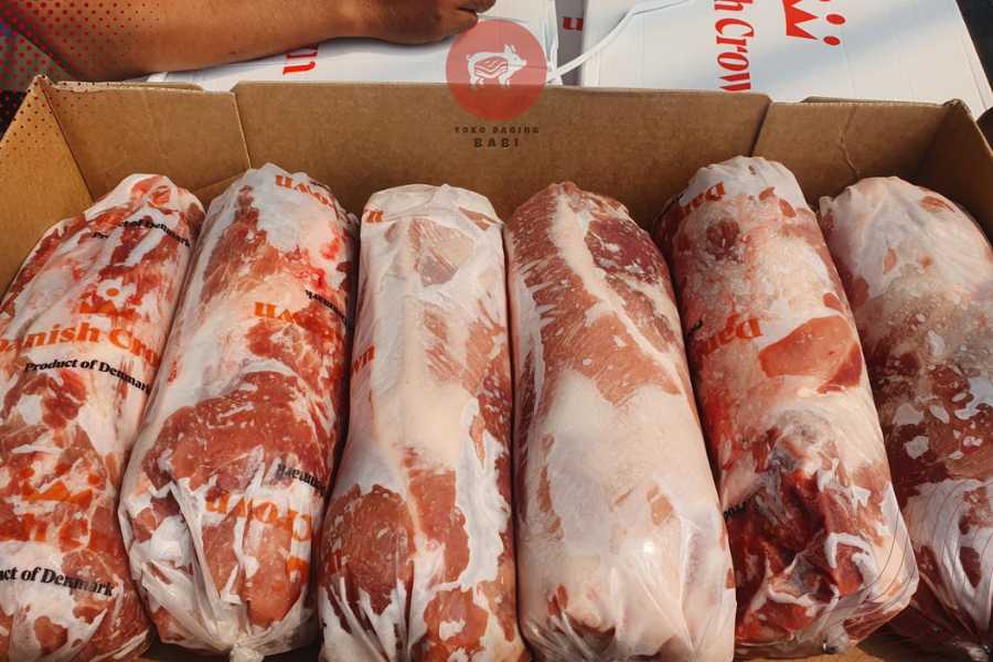 kapsim collar babi jakarta